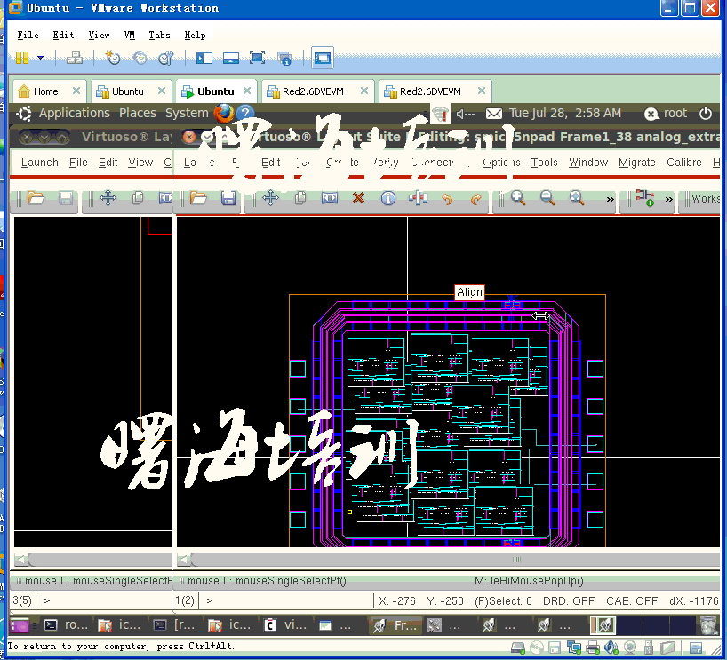 Virtuoso ̓�M�C(j��)